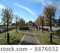 Late Autumn Urban Park 8876032