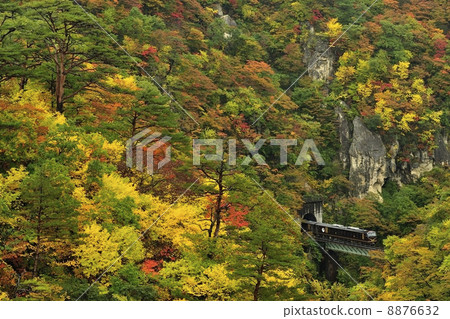 Autumn Leaves Train 1 8876632