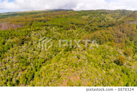 Hawaii Kauai Island Inland View Scenery Hawaii Kauai Island Inland View Scenery 8878324