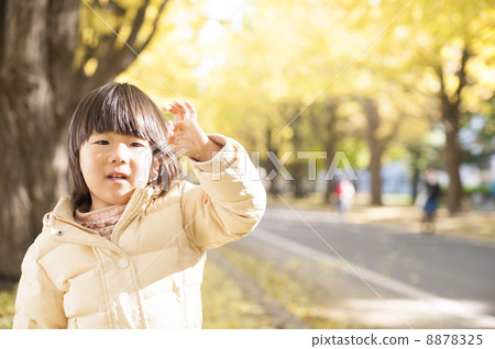 Ginkgo biloba and kids Ginkgo biloba and kids 8878325