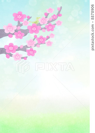 梅花樹 梅花樹 8878906