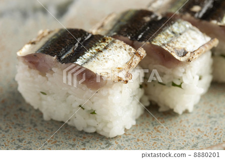 Sushimi broiled sashimi 8880201