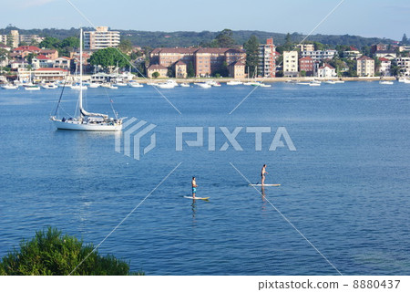 Manly's holiday 8880437