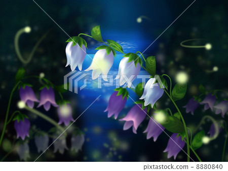 螢火蟲刷和螢火蟲 螢火蟲刷和螢火蟲 8880840