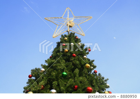 Christmas tree with blue sky Christmas tree with blue sky 8880950