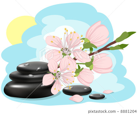 Spa background with cherry blossoms 8881204