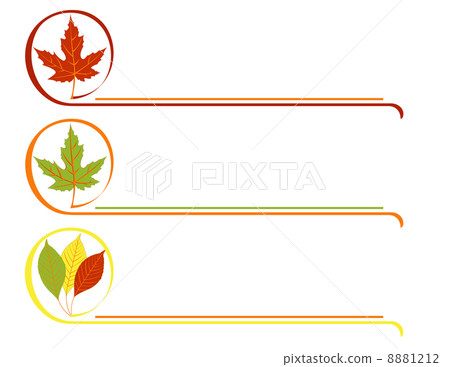 Bright pattern with autumn leaves 8881212