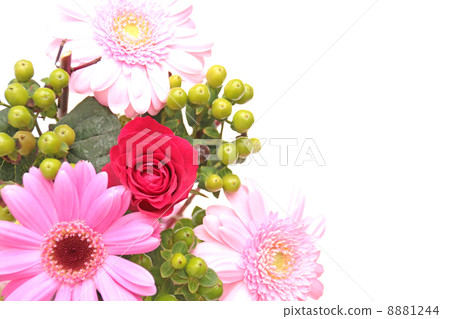 編排者花花卉綠色工廠花綠色粉紅色新鮮綠色葉子花粉紅色植 編排者花花卉綠色工廠花綠色粉紅色新鮮綠色葉子花粉紅色植 8881244