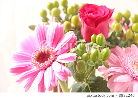 花插花插花花花卉花植物玫瑰新芽花束新鮮綠色非洲菊玫瑰桃多彩華麗禮物綠色葉綠色真正花束剪花樂趣明亮著色剪花白色背 8881245