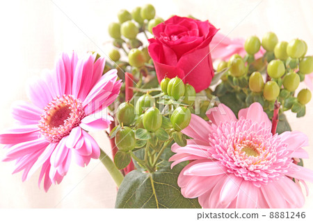 花插花插花花花卉花植物玫瑰新芽花束新鮮綠色非洲菊玫瑰桃多彩華麗禮物綠色葉綠色真正花束剪花樂趣明亮著色剪花白色背 8881246