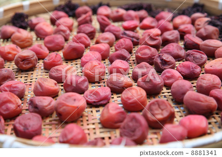 Salted plum Salted plum 8881341