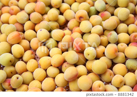 Salted plum Salted plum 8881342