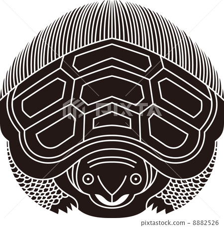 A right turtle 8882526