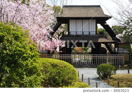 列旁邊的京都沃德Arimono 8883023