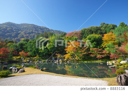 Tenryu寺在秋天 8883116