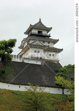 Kakegawa Castle Kakegawa Castle 8884254