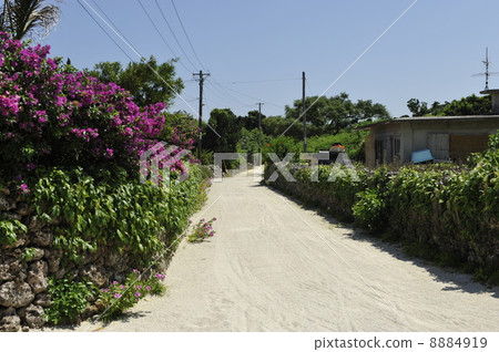 Taketomijima Taketomijima 8884919