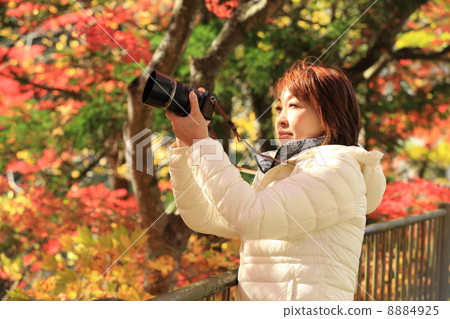 A woman taking photographs of autumn leaves 8884925