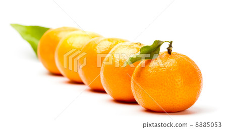 mandarine 8885053