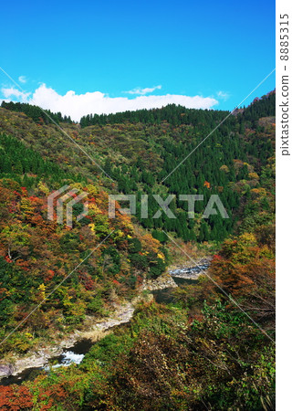 秋葉@ Kuzuryoroko Valley 秋葉@ Kuzuryoroko Valley 8885315