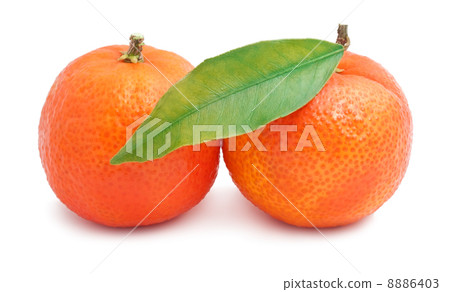 Tangerines 8886403