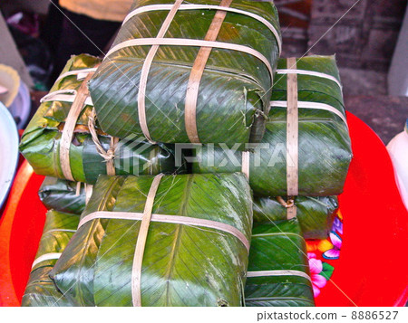 Vietnam's Chimaki "Binchun" (Hanoi / Vietnam) Vietnam's Chimaki "Binchun" (Hanoi / Vietnam) 8886527