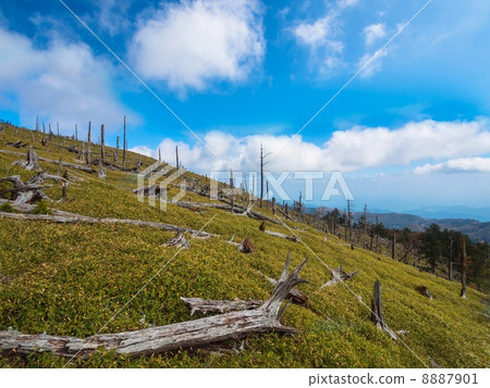 Odaigahara的Masakigahara 8887901