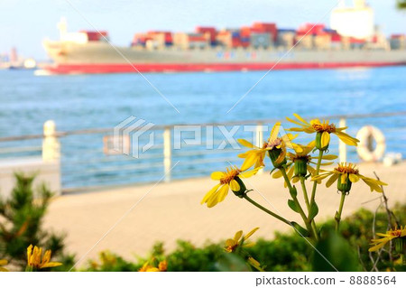 Sea breezer twirling 8888564