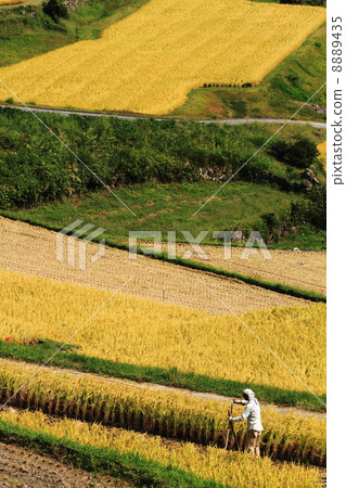 Farm work Farm work 8889435