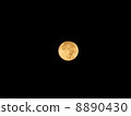  full moon 8890430