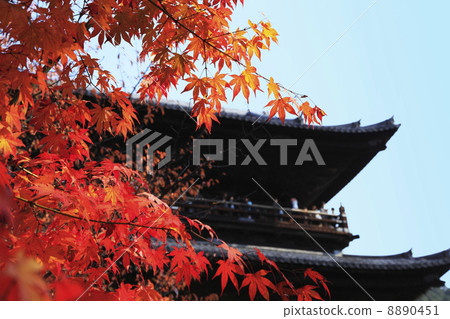 秋葉,京都 秋葉,京都 8890451