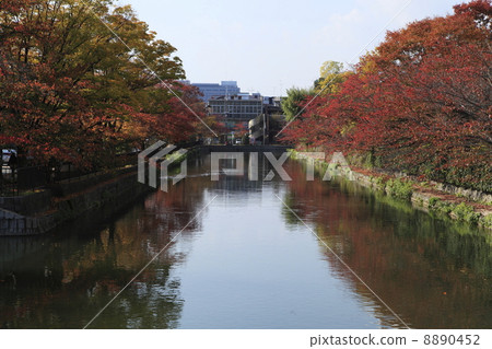 琵琶湖運河 琵琶湖運河 8890452