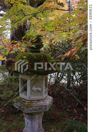 Kyoto Saigaiji Temple Stone lantern 8890631