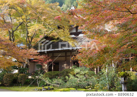 京都Saigyoji寺廟集合 8890632