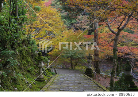Kyoto Saigoji Temple 8890633