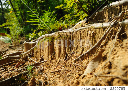 你腳下的小懸崖 8890765