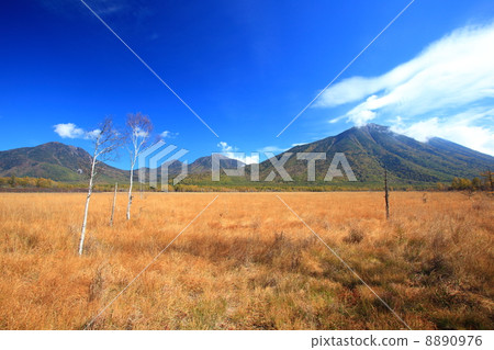 The battlefield Senjogahara and Mt. The battlefield Senjogahara and Mt. 8890976