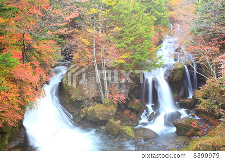 Autumn leaves of the crown falls Autumn leaves of the crown falls 8890979