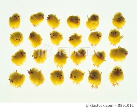 I will arrange the toy chicks. 8891011