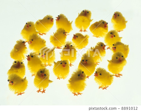 一隻小雞的玩具,聚會。 一隻小雞的玩具,聚會。 8891012