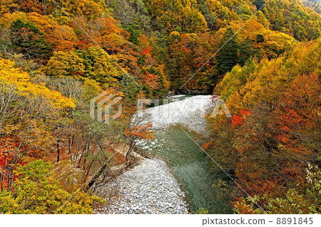 Nishizawa Valley of Kinshu 8891845