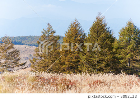 富士見台 8892128