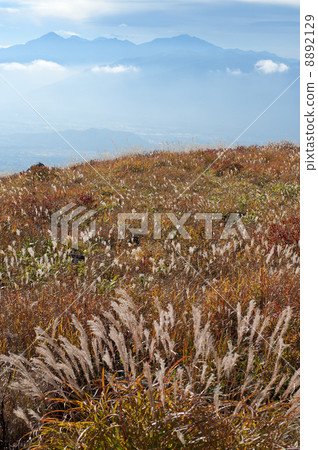 富士見台 富士見台 8892129