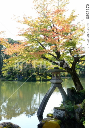 兼六園/廣島燈籠（垂直） 8892170