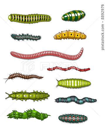 Caterpillars and worms Caterpillars and worms 8892976