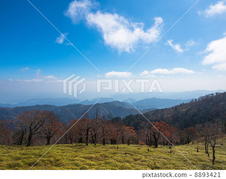 小田原 小田原 8893421