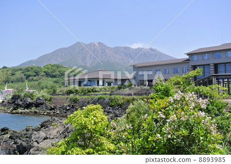 Sakurajima Visitor Center in Kagoshima Prefecture Sakurajima Visitor Center in Kagoshima Prefecture 8893985