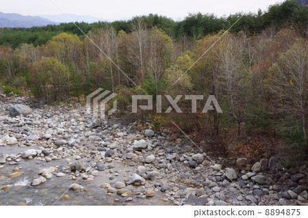 Kamimaimawa河在大町市在初冬 8894875