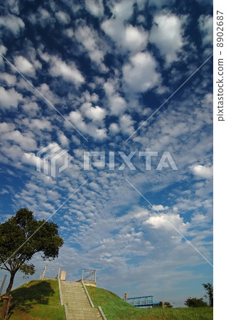 Sheep clouds autumn sky Sheep clouds autumn sky 8902687