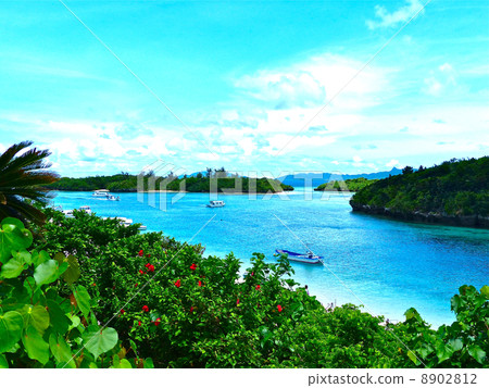 Kawahira Bay 8902812